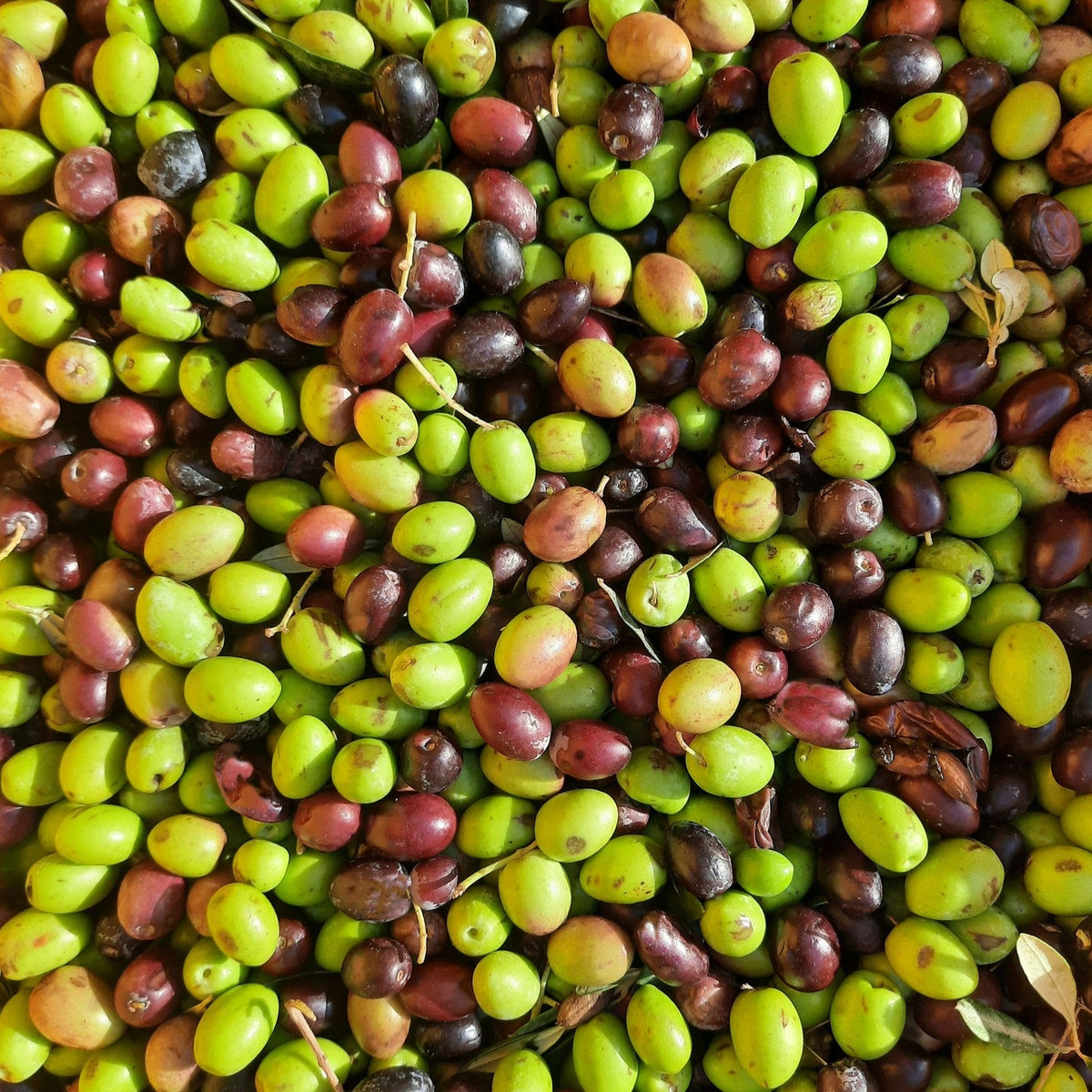 Olives